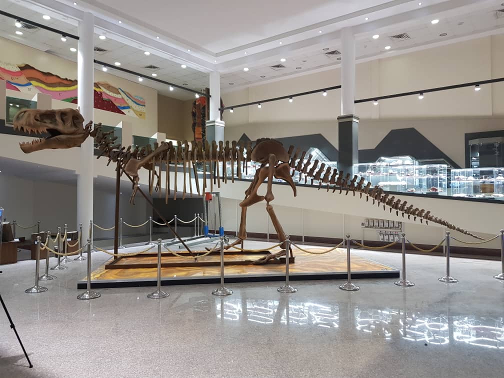 carnivorous dinosaur