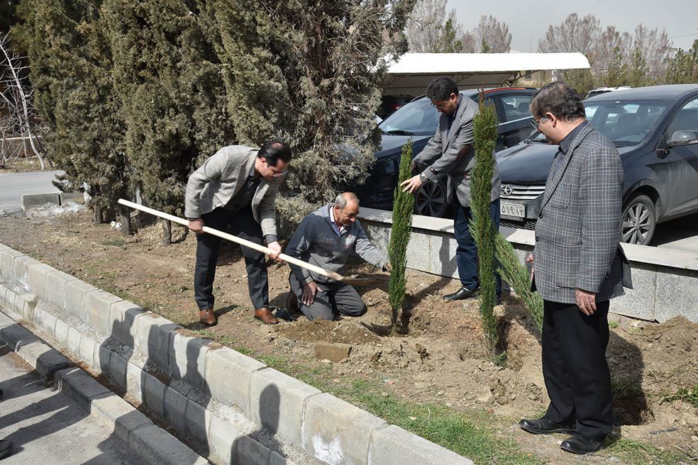 کاشت نهال به مناسبت فرارسیدن بهار طبیعت و روز درختکاری در اداره کل زمین شناسی و اکتشافات معدنی منطقه شمال شرق