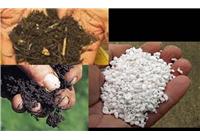 کارگروه زمین شناسی کاربردی و توسعه طرح های دانش بنیان
