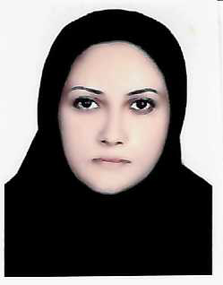 نسرین ابراهیمی