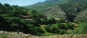 لرستان