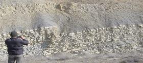 گسل معکوس